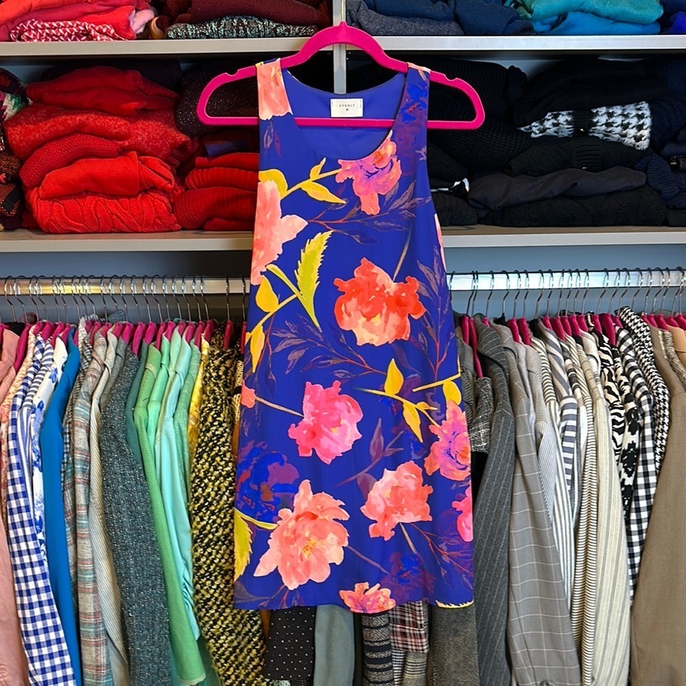 Everly blue/pink floral sleeveless lined swing dress size XS